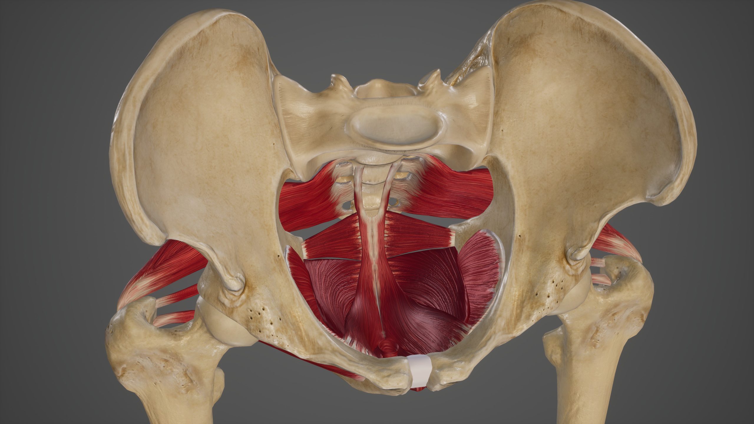 Pelvic Floor Health is nothing to be embarrassed about - Woods Wellness Centre